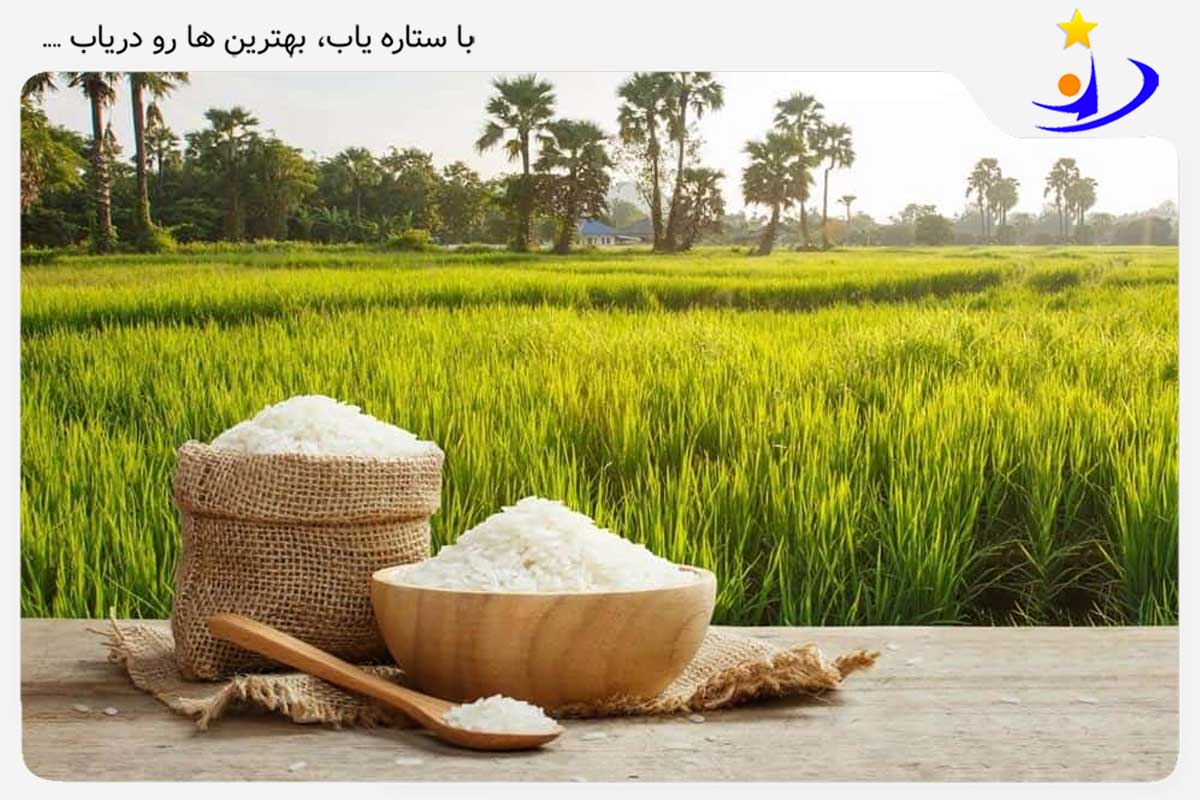 خوشمزه ترین برنج خوش عطر ایرانی