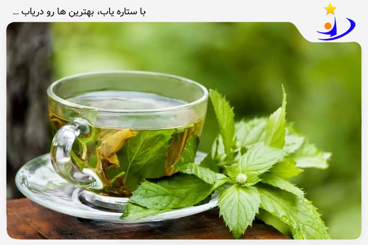 چای نعناع؛ بهترین درمان خانگی گلو درد
